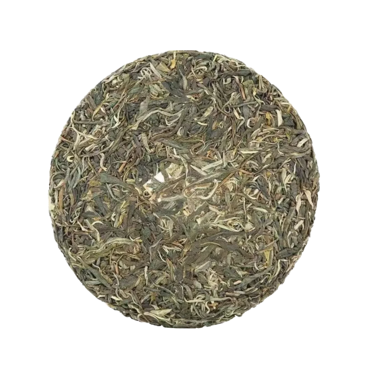 Chen Shenghao 2023 Big Tree Puer Tea Cake 357g - ZenBrew Tea Store