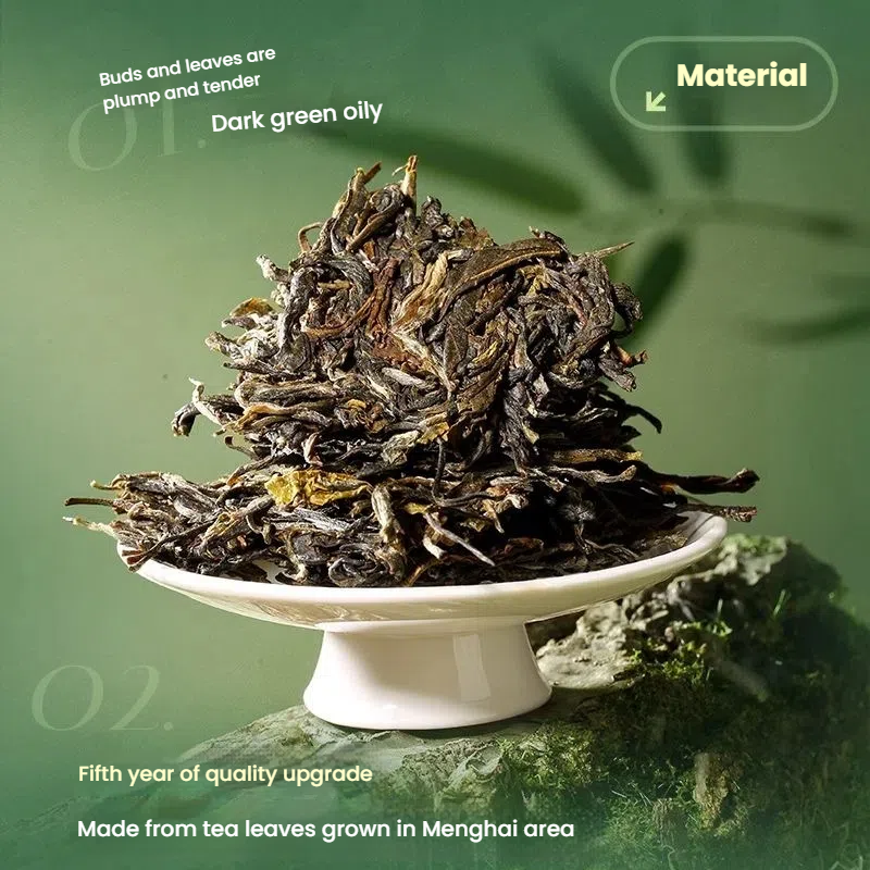Chen Shenghao 2023 Big Tree Pu-erh Tea Cake 357g