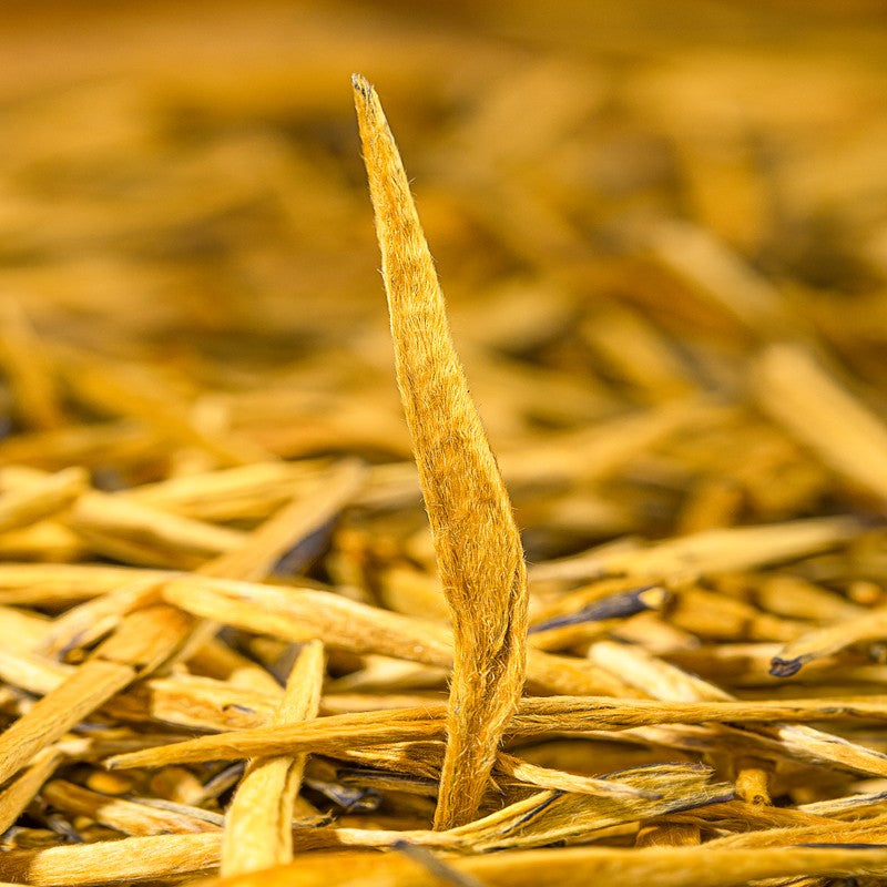 Dianhong Golden Needle Tea