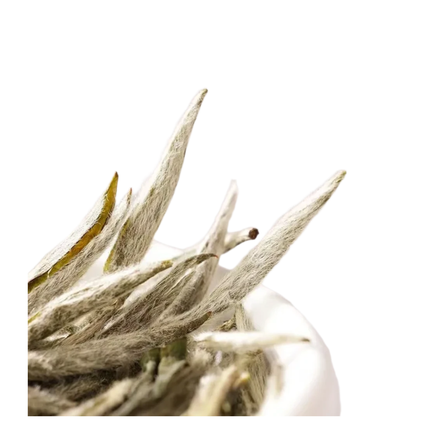 First-grade Baihao Yinzhen Tea 50g - ZenBrew Tea Store