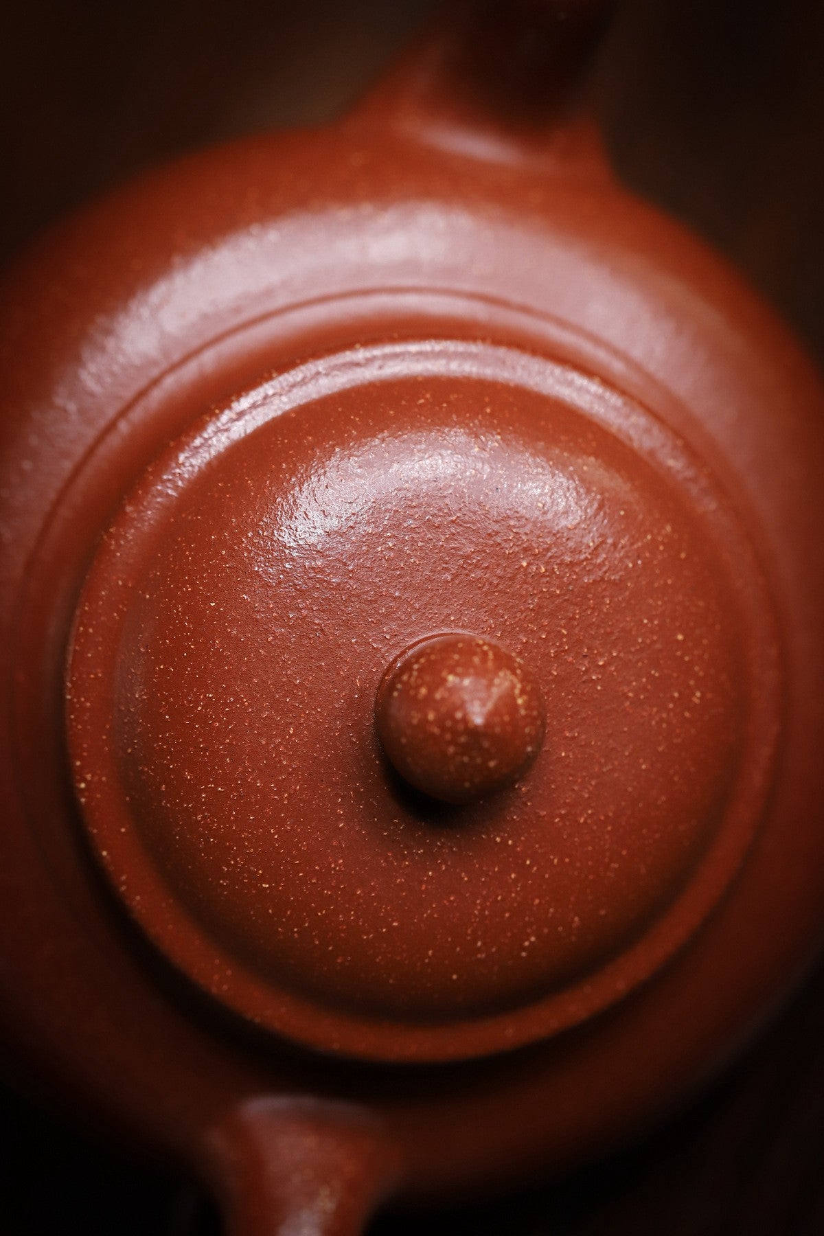 Laughing Plum Pot